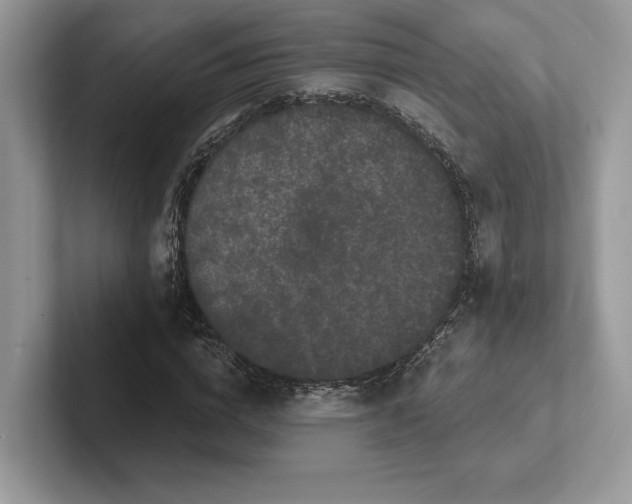 X0000101450824200807211311