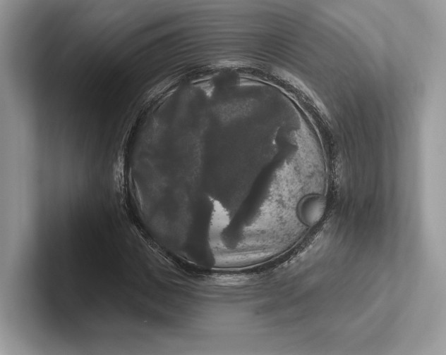 X0000101450825200807211311