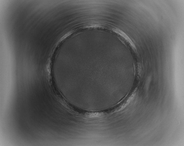 X0000101450826200807211311