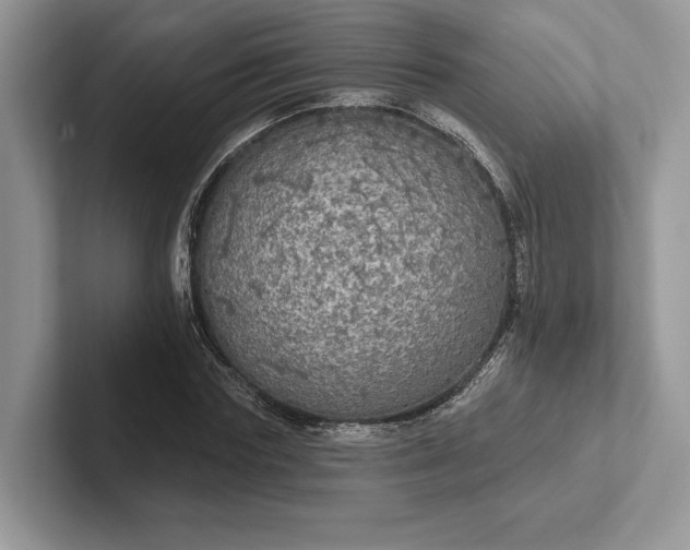 X0000101450827200807211311