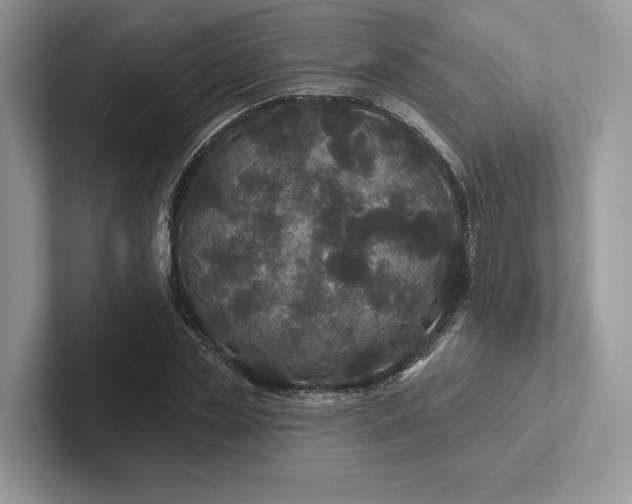 X0000101450829200807211311