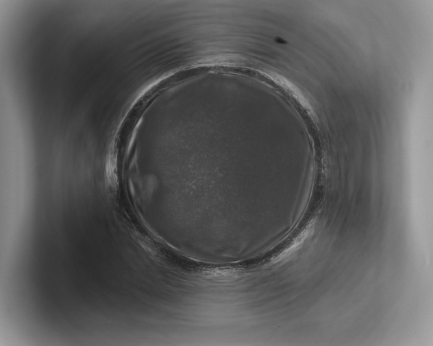 X0000101450830200807211311