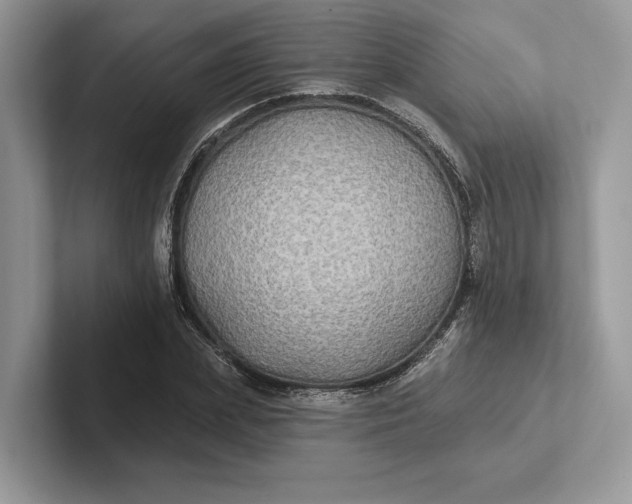 X0000101450831200807211311