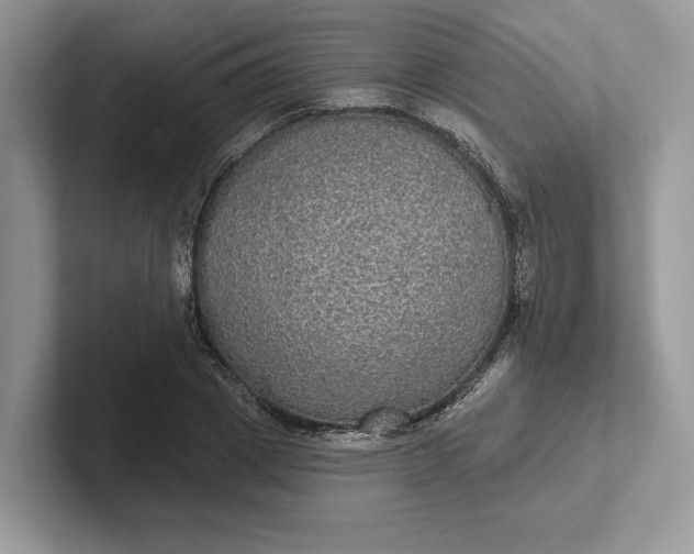 X0000101450833200807211311