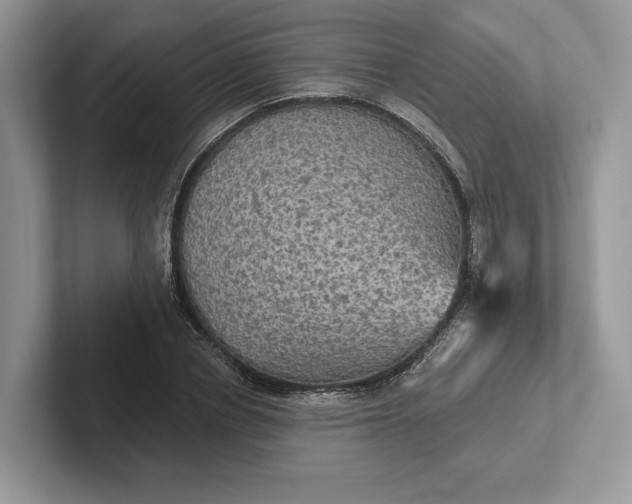 X0000101450834200807211311