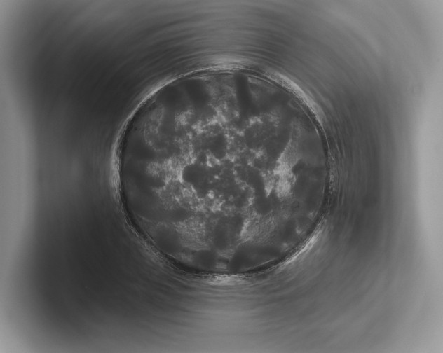 X0000101450835200807211311