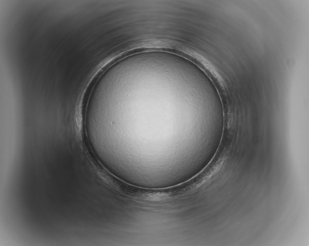 X0000101450837200807211311