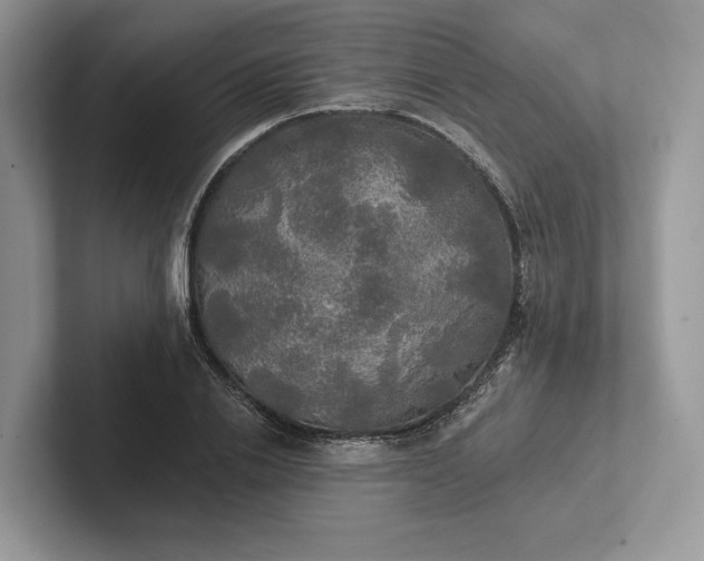 X0000101450838200807211311