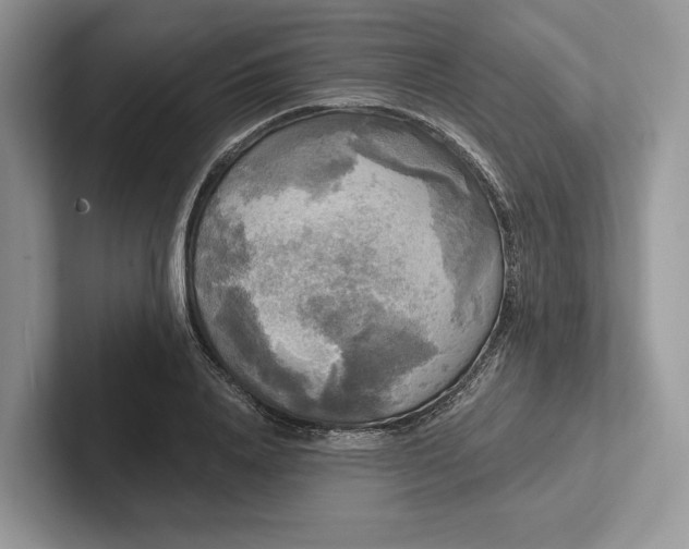 X0000101450840200807211311