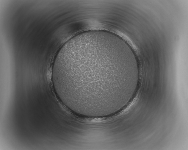 X0000101450841200807211311