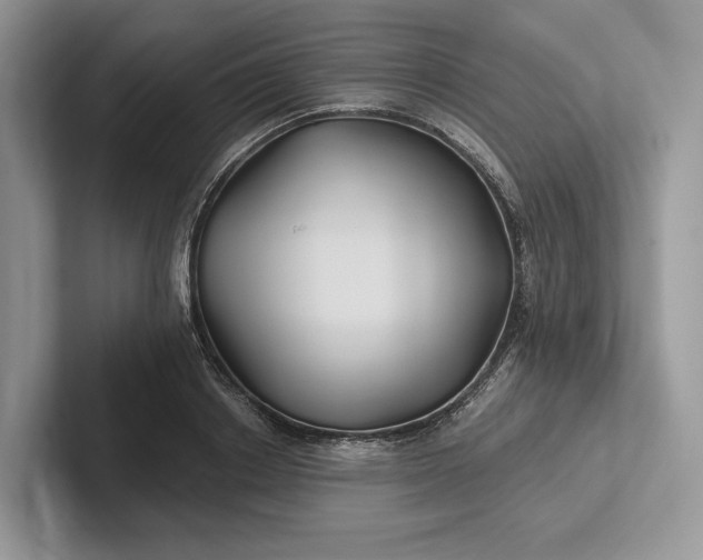 X0000101450842200807211311