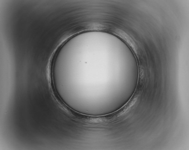 X0000101450843200807211311