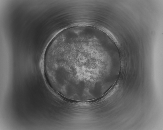 X0000101450844200807211311