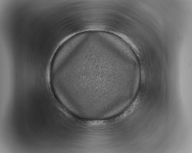 X0000101450846200807211311