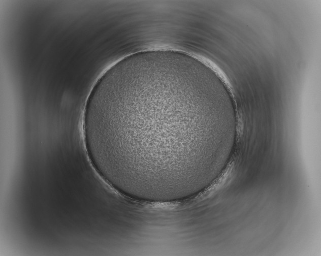 X0000101450847200807211311