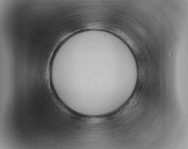 X0000101450848200807211311