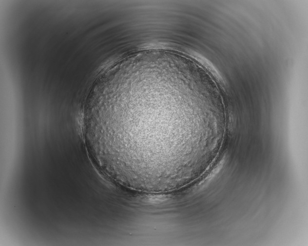 X0000101450849200807211311