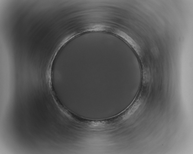 X0000101450850200807211311