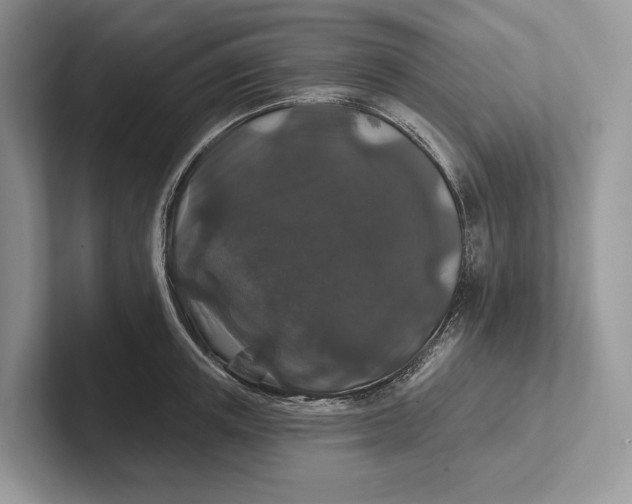 X0000101450851200807211311