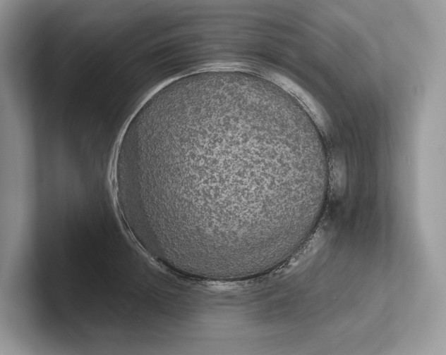 X0000101450852200807211311