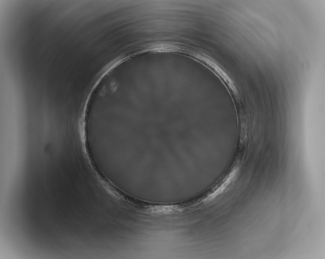 X0000101450853200807211311