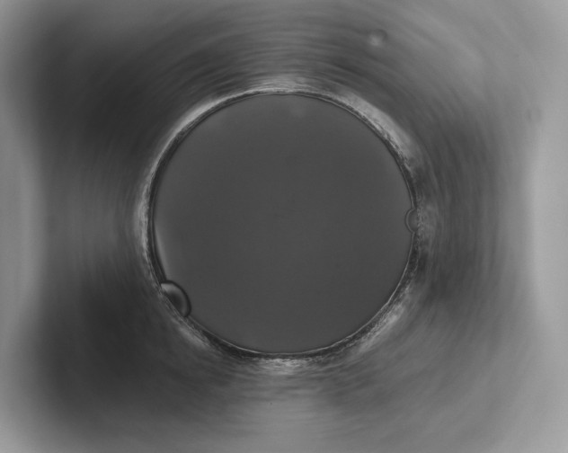 X0000101450854200807211311