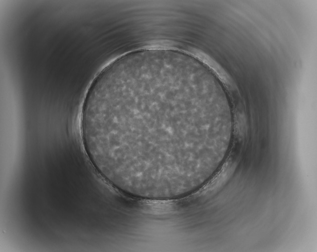 X0000101450856200807211311