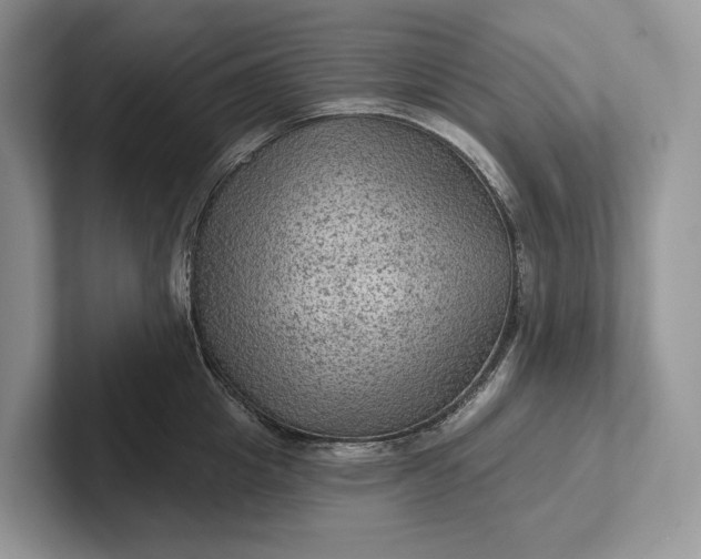 X0000101450857200807211311