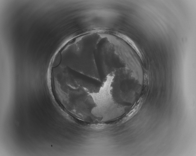 X0000101450859200807211311