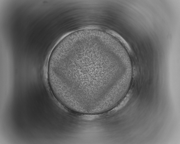 X0000101450860200807211311