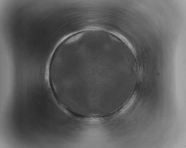 X0000101450862200807211311