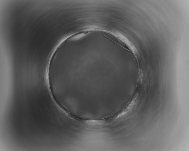 X0000101450863200807211311