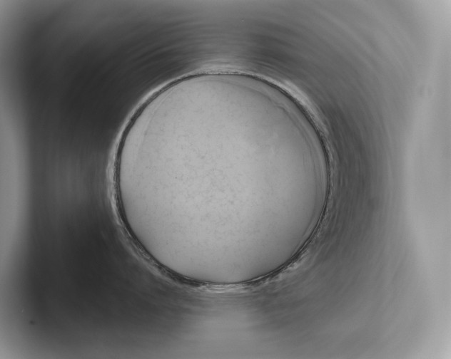 X0000101450864200807211311