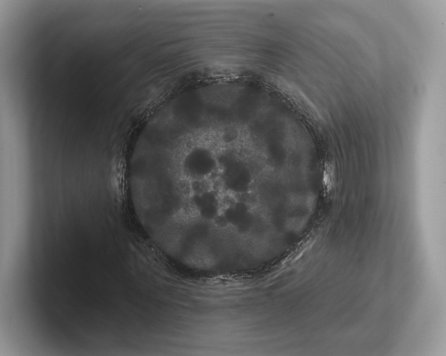 X0000101450867200807211311