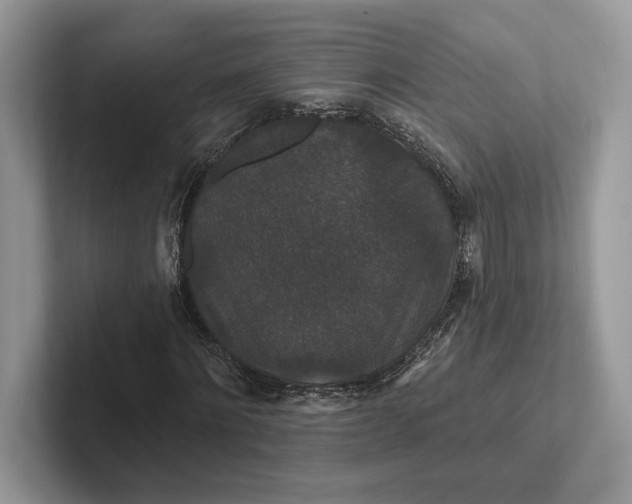 X0000101450868200807211311