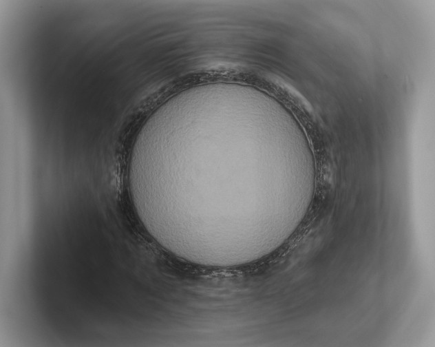 X0000101450869200807211311