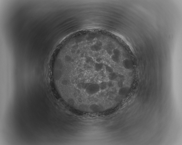 X0000101450871200807211310