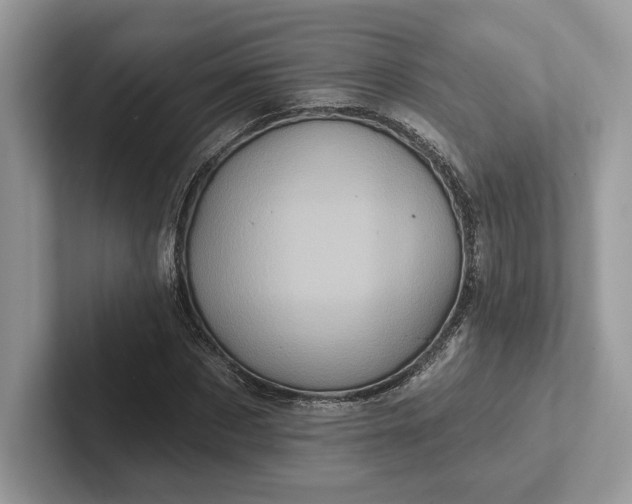 X0000101450873200807211310