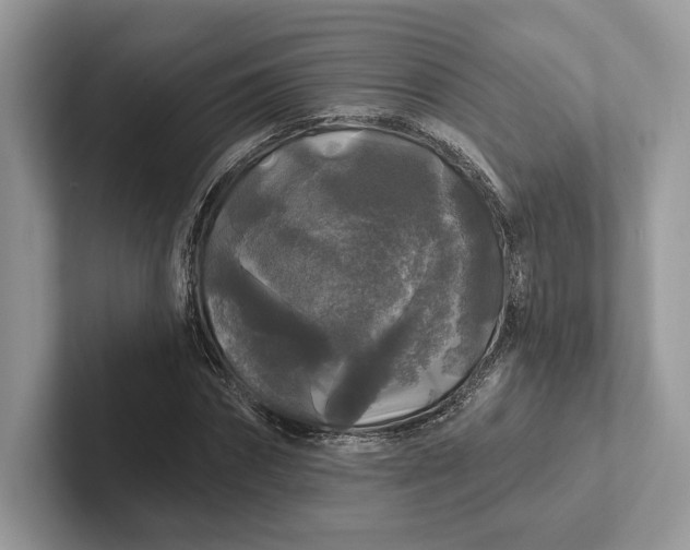 X0000101450874200807211310