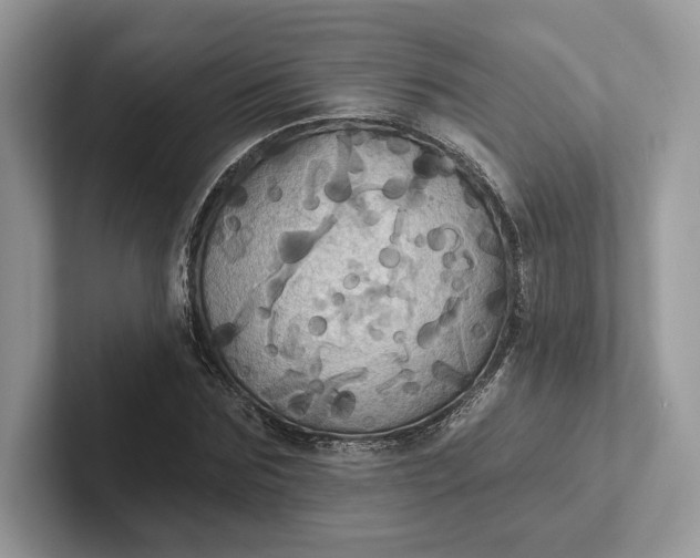 X0000101450875200807211310