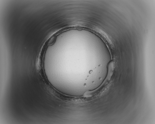 X0000101450876200807211310