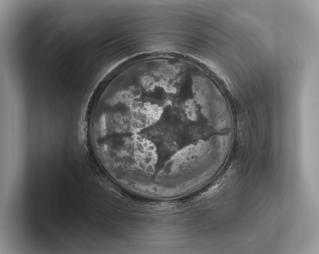 X0000101450879200807211310