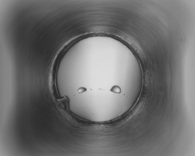 X0000101450880200807211310