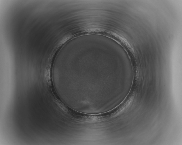 X0000101450881200807211310