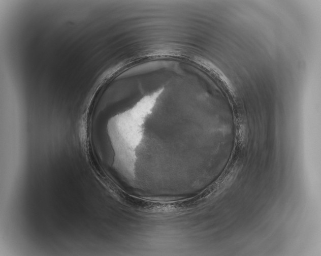 X0000101450882200807211310