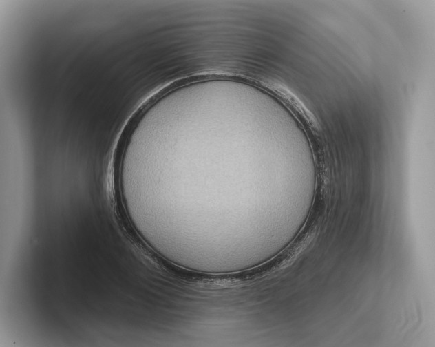 X0000101450884200807211310