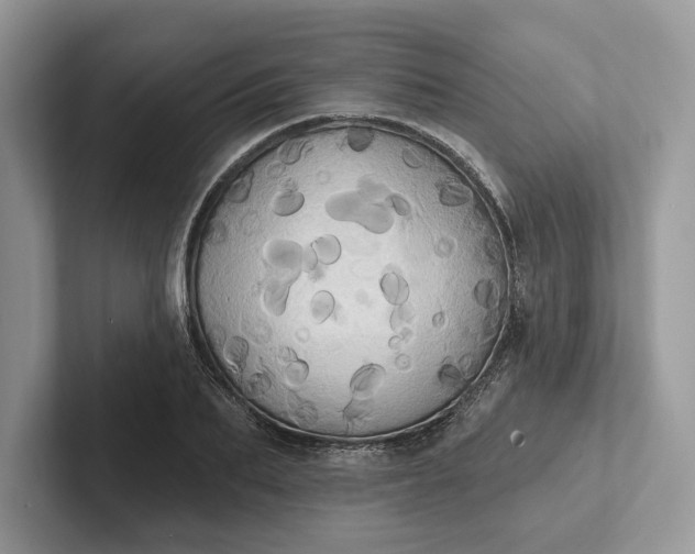 X0000101450887200807211310