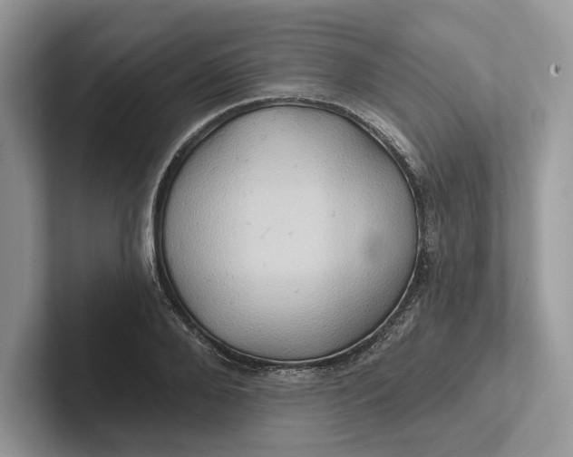 X0000101450888200807211310