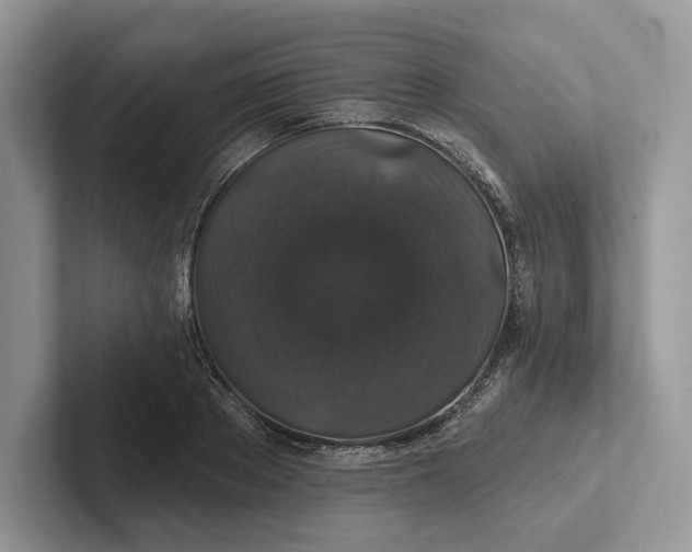 X0000101450889200807211310