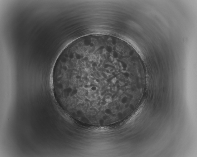 X0000101450891200807211310